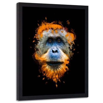 Plakat w ramie czarnej FEEBY Orangutan, 70x100 cm - Feeby