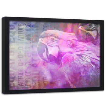 Plakat w ramie czarnej FEEBY Papuga, 60x40 cm - Feeby