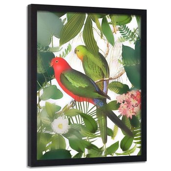 Plakat w ramie czarnej FEEBY Papugi w liściach, 70x100 cm - Feeby