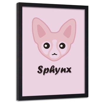 Plakat w ramie czarnej FEEBY Różowy sfinks, 50x70 cm - Feeby