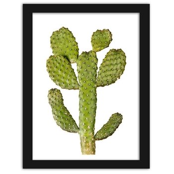 Plakat w ramie czarnej FEEBY, Zielony kaktus, 21x29,7 cm - Feeby