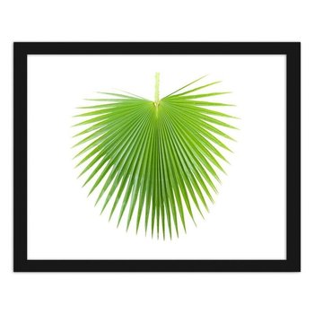 Plakat w ramie czarnej FEEBY, Zielony liść palmy, 90x60 cm - Feeby