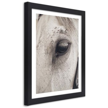 Plakat w ramie czarnej, Oko konia w zbliżeniu 30x45 - Feeby