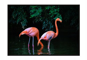 Plakat w ramie E-DRUK Flamingi, 53x73 cm - e-druk