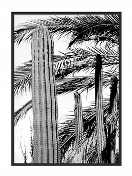 Plakat w ramie E-DRUK Kaktusy, 43x33 cm - e-druk