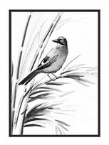 Plakat w ramie E-DRUK Ptak, 53x73 cm