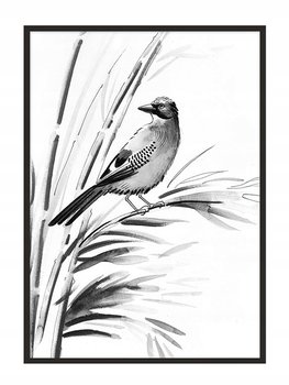 Plakat w ramie E-DRUK Ptak, 53x73 cm - e-druk