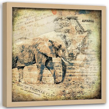 Plakat w ramie naturalnej FEEBY Afrykanski słoń, 60x60 cm - Feeby