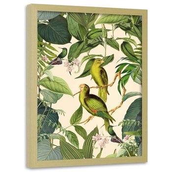 Plakat w ramie naturalnej FEEBY Egzotyczne ptaki, 40x60 cm - Feeby