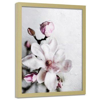 Plakat w ramie naturalnej FEEBY Kwiat magnolii, 70x100 cm - Feeby