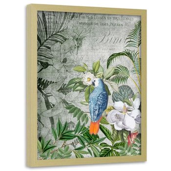 Plakat w ramie naturalnej FEEBY Niebieska papuga, 70x100 cm - Feeby