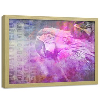 Plakat w ramie naturalnej FEEBY Papuga, 60x40 cm - Feeby