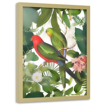 Plakat w ramie naturalnej FEEBY Papugi w liściach, 50x70 cm - Feeby