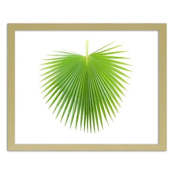 Plakat w ramie naturalnej FEEBY, Zielony liść palmy, 90x60 cm - Feeby
