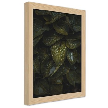 Plakat w ramie naturalnej, Krople wody na liściach 30x45 - Feeby