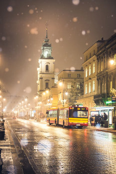 Plakat, Warszawa Krakowskie Przedmieście, 60x80 cm - reinders