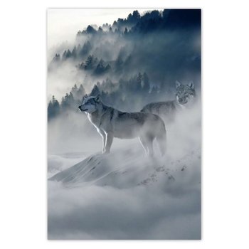 Plakat Wilki w naturze, 40x60 cm - ZeSmakiem