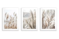 Plakaty na ścianę do salonu, plakaty boho trawa pampasowa 3x 30x40cm