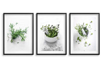 Plakaty na ścianę Obrazy ścienne w Czarnej ramie zestaw do kuchni Zioła