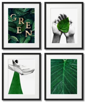 Plakaty Szaro Zielone, Natura, Green, Liście - DEKORAMA