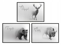Plakaty w ramie E-DRUK Tryptyk Zwierz, 53x73 cm