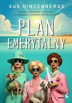 Plan emerytalny Hincenbergs Sue