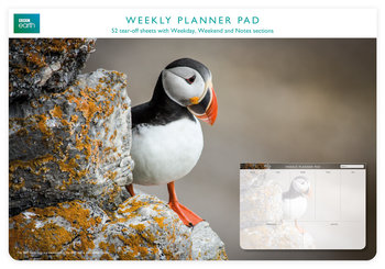 Planer tygodniowy, Puffin