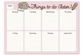 Planer tygodniowy Pusheen Plan lekcji dla dziewczynki Rose Collection A4 - Grupo Erik