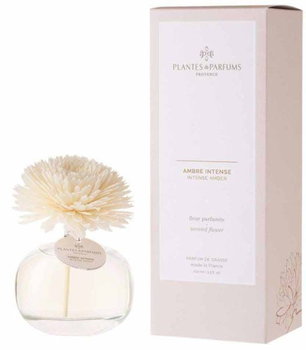 Plantes&Parfums Provence, Dyfuzor zapachowy z kwiatkiem Drogocenna Ambra, 100 ml - PLANTES&PARFUMS PROVENCE