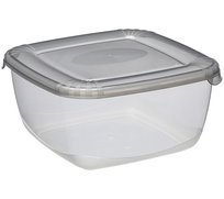 Plast Team - Pojemnik Do Żywności Polar - Kwadratowy - Szary - Do Zamrażarki I Lodówki - 2,5 L
