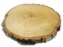 Plaster drewna Brzoza nieszlifowana 20-25 cm / 2 cm