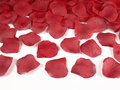 Płatki róż w woreczku, czerwony, 100 sztuk - PartyDeco
