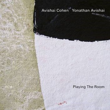Playing The Room, płyta winylowa - Cohen Avishai