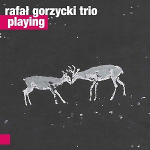 Playing - Rafał Gorzycki Trio