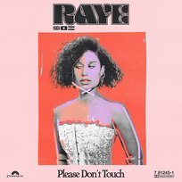 Please Don’t Touch Raye