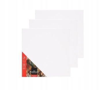 PŁÓTNO MALARSKIE PODOBRAZIE 25 x 25 cm- 3 SZTUKI - Van Bleiswijck