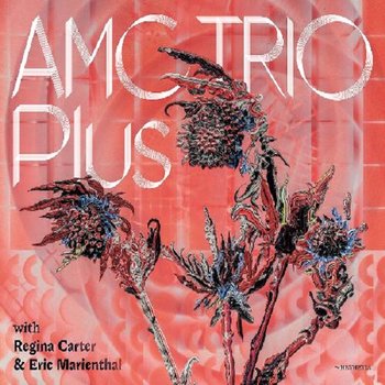 Plus With Regina Carter & Eric Marienthal - AMC Trio