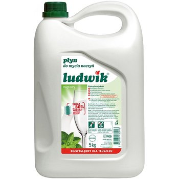 Płyn do mycia naczyń LUDWIK Miętowy, 5 kg - Ludwik