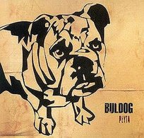 Płyta Buldog
