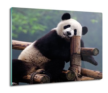 płyty ochronne na indukcję Panda drzewo 60x52, ArtprintCave - ArtPrintCave