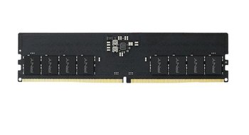 Pny pamięć ddr5 32gb 5600 bulk - PNY