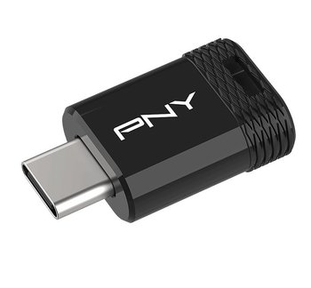 PNY Pendrive 256GB Elite-X USB-C 3.2 P-FDI256EXFITC-GE - PNY