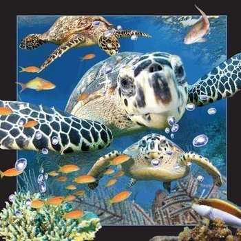 Pocztówka 3D Żółw Morski - Worth Keeping