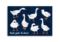 Klienci, których interesował ten produkt, oglądali też