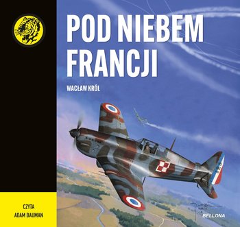 Pod niebem Francji - audiobook MP3 - Król Wacław
