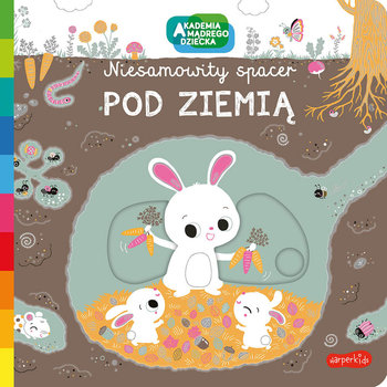 Pod ziemią. Akademia mądrego dziecka. Niesamowity spacer - Choux Nathalie