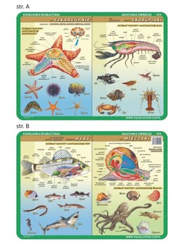 Podkładka edukacyjna - anatomia zwierząt 054 - VISUAL System