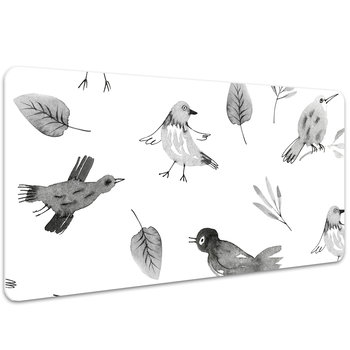 Podkładka na całe biurko Rysowane ptaki dla dzieci 100x50 cm - Coloray