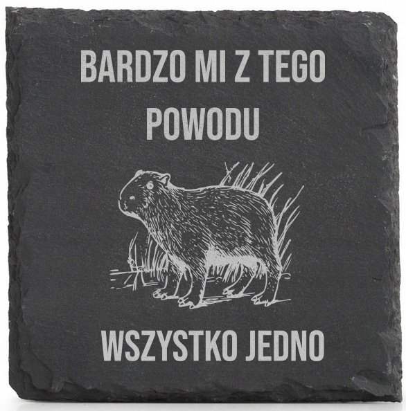 Podkładki kamienne x4 Kapibara Bardzo mi z tego powodu wszystko jedno