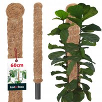 PODPORA DO ROŚLIN 60 CM TYCZKA PAŁKA Z WŁÓKNA KOKOSOWEGO 3,2 PALIK KOKOSOWY Kotarbau
